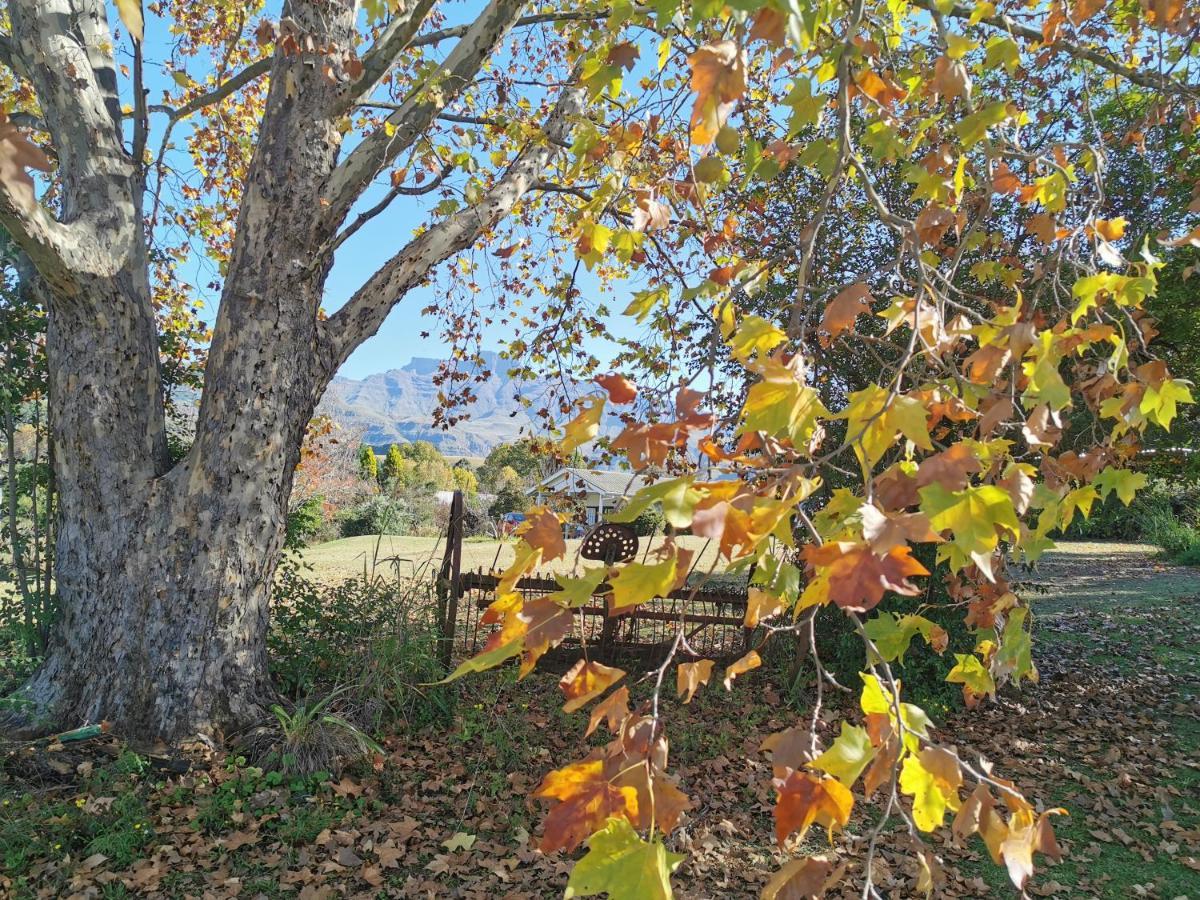 Swallowfield Rondavels Champagne Valley Buitenkant foto