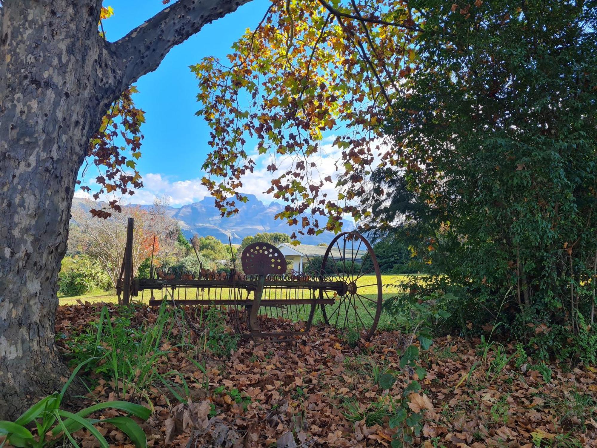 Swallowfield Rondavels Champagne Valley Buitenkant foto